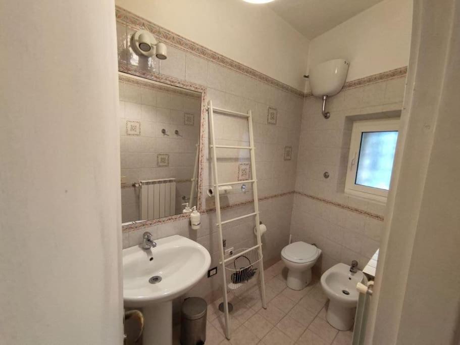 Vicolo Del Bologna Apartment Řím Exteriér fotografie